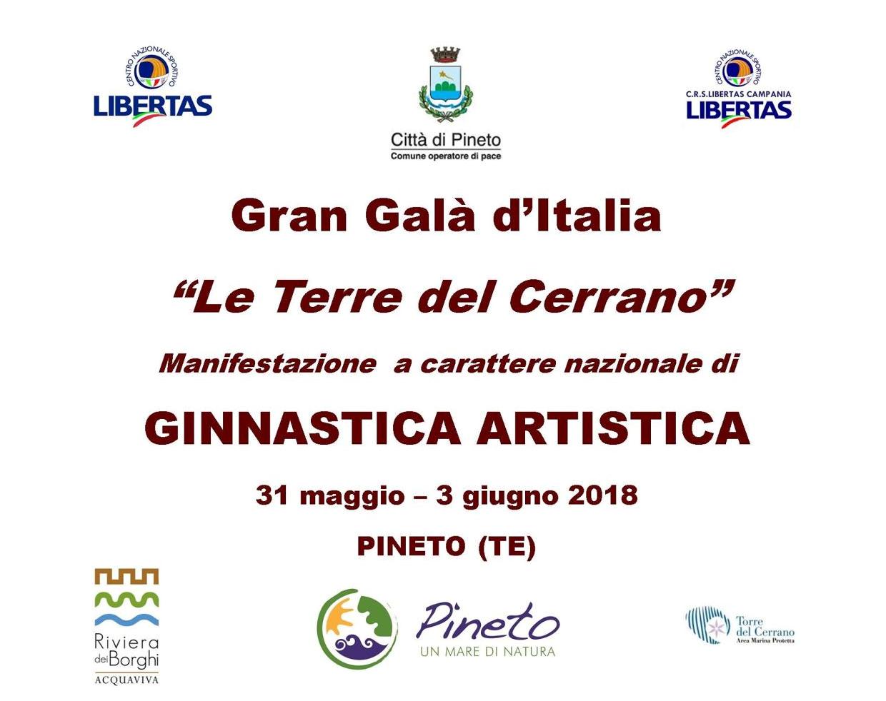 GRAN GALA' D'ITALIA DI GINNASTICA ARTISTICA1